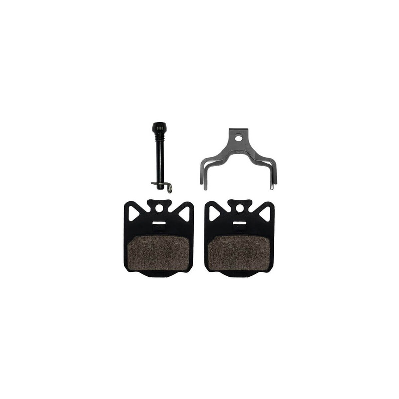 Campagnolo Disc Brake Pads with Spring DB-310