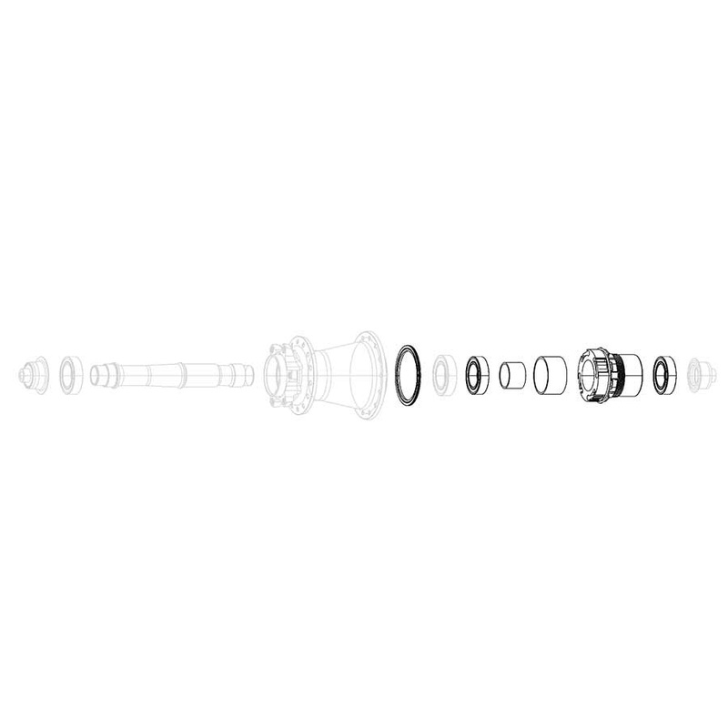 XD Freehub Body Bearings – 11/12 Speed X0 Hubs Rise 60 B1 Roam 30 Roam 40 Rail 40 Rise XX Roam 50 B1 Roam 60 B1