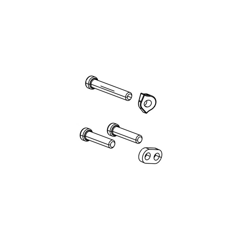 NX 11-Speed Rear Derailleur B-Screw and Limit Screw Kit