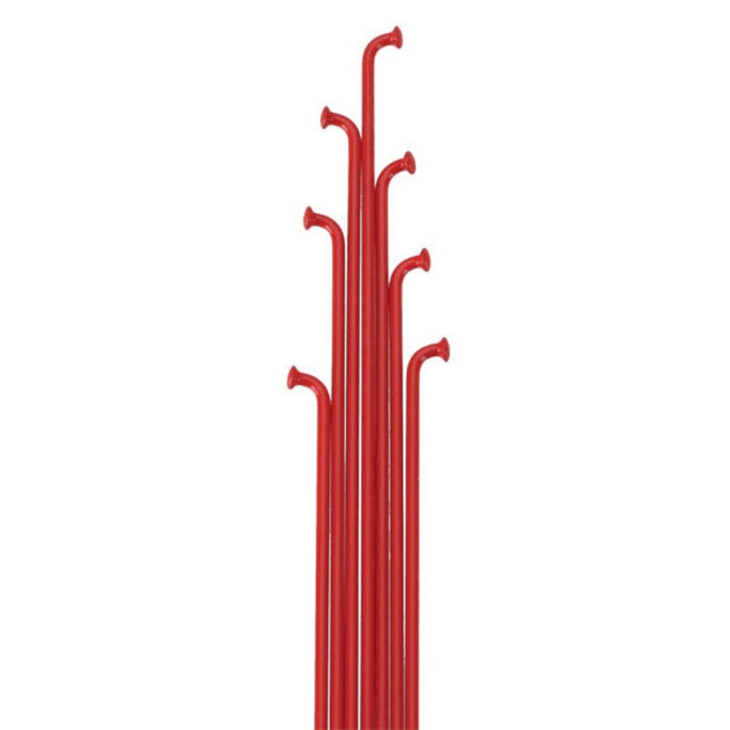 Colored 14g Spoke Red 308mm 36/Count