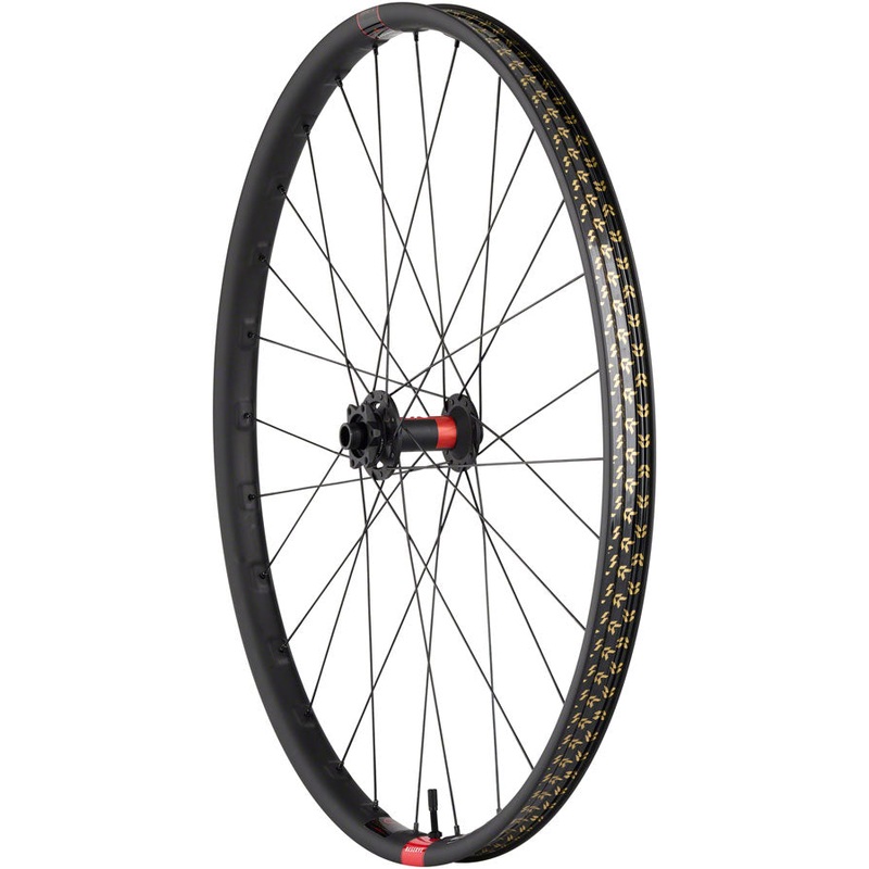 DT 240 / Reserve 30 SL Carbon Front Wheel – 29 15 x 110mm 6-Bolt Carbon