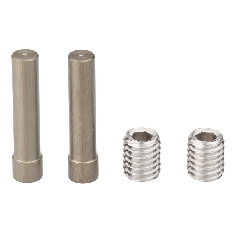 Chain Tensioner Set (2 Screws + 2Pins)