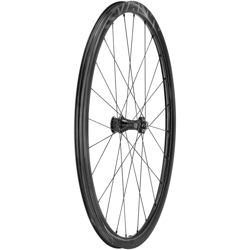Levante Front Wheel – 700 12 x 100mm CenterLock Black