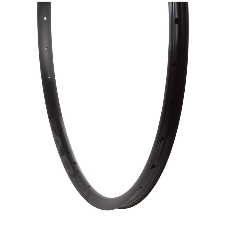 AR 25 Rim – 29 Disc Black 32H Offset